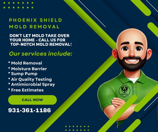 Phoenix Shield Mold Removal services in Tullahoma; mold removal, moisture barrier, air quality testing. Call 931-361-1186.